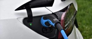 Nahaufnahme eines weißen Elektroautos, das an eine Ladestation angeschlossen ist. Der Ladeanschluss befindet sich an der Rückseite des Fahrzeugs, und ein blaues Ladekabel ist eingesteckt. Das grüne Tesla-Logo ist neben dem Ladeanschluss sichtbar. Das Fahrzeug steht im Freien auf einer grünen Wiese, und es sind Wassertropfen auf dem Auto zu sehen, was auf kürzliches Regenwetter hindeutet.