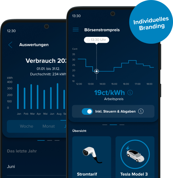 Die Rabot Charge App mit dem Börsenstrompreis und dem Stromverbrauch der letzten Monate